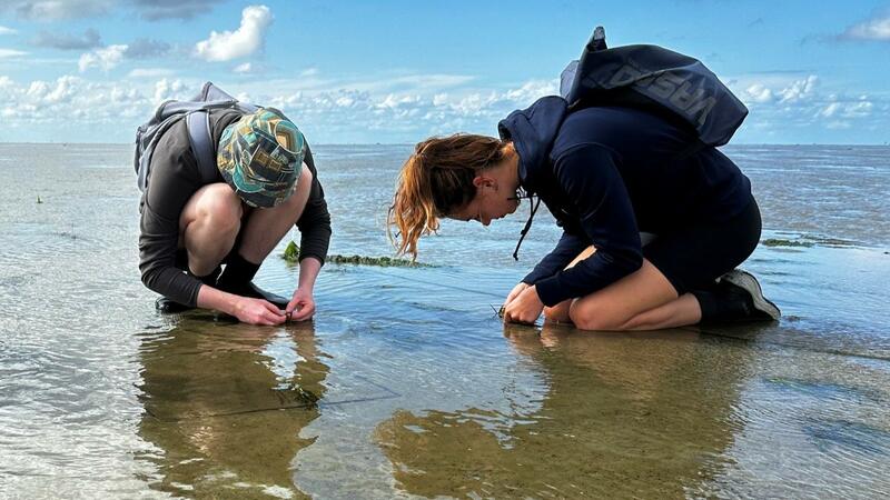 Two young women kneeling on a mudflat focusing on details on surface. © Laura Govers Two young women kneeling on a mudflat focusing on details on surface. © Laura Govers