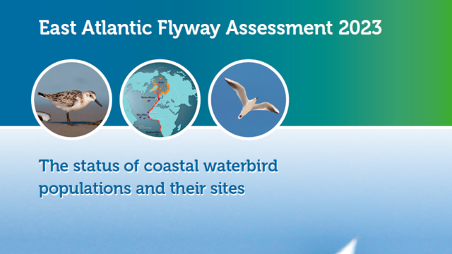 Cut-out of the cover of the East Atlantic Flyway Assessment 2023 displaying the title and circled images of birds and the flyway map. © WSFI.