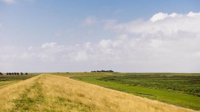 Dike with dry vegetation and flat green fields on left and right. © Marleen Annema/ Waddenagenda